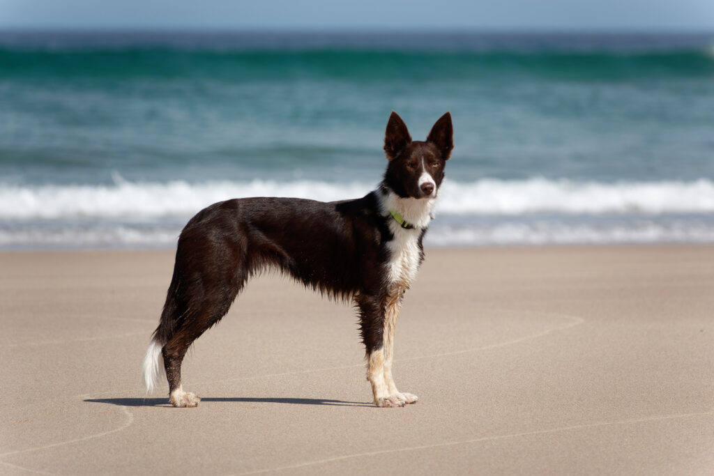 dsc00829 arw dxo deepprime